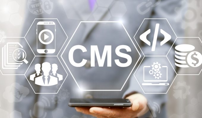 Software Localization & CMS Integrations